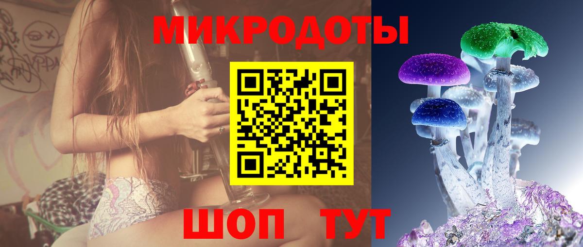 Зеленогорск  Псилоцибиновые грибы прущие грибы  Вход с VPN  Галлюциногенные грибы Psilocybe 